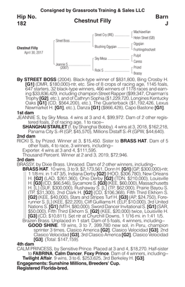 Chestnut Filly Barn J Hip No