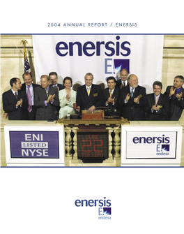 Annual Report 2004 / Enersis Contents
