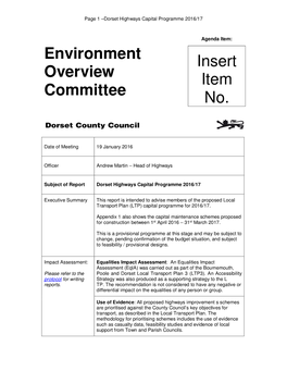 Environment Overview Committee Insert Item