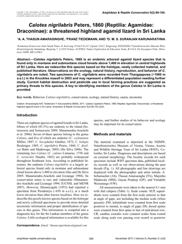 Calotes Nigrilabris Peters, 1860 (Reptilia: Agamidae: Draconinae): a Threatened Highland Agamid Lizard in Sri Lanka