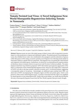 A Novel Indigenous New World Monopartite Begomovirus Infecting Tomato in Venezuela
