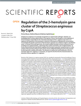 Regulation of the Β-Hemolysin Gene Cluster of Streptococcus Anginosus