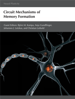 Circuit Mechanisms of Memory Formation