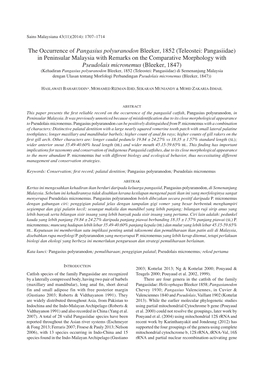 The Occurrence of Pangasius Polyuranodon Bleeker, 1852 (Teleostei: Pangasiidae) in Peninsular Malaysia with Remarks on the Compa