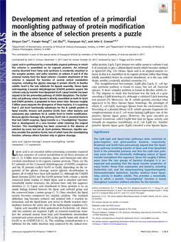 Development and Retention of a Primordial Moonlighting Pathway of Protein Modification in the Absence of Selection Presents a Pu