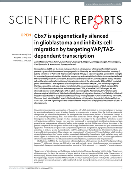 Cbx7 Is Epigenetically Silenced in Glioblastoma and Inhibits Cell Migration by Targeting YAP/TAZ-Dependent Transcription