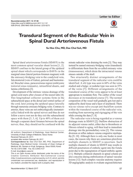 Transdural Segment of the Radicular Vein in Spinal Dural Arteriovenous Fistula