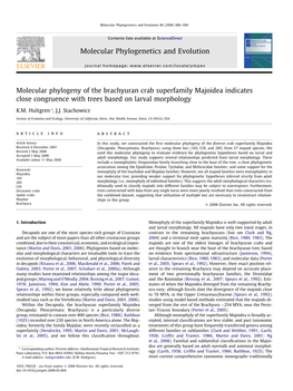 Molecular Phylogeny of the Brachyuran Crab Superfamily Majoidea Indicates Close Congruence with Trees Based on Larval Morphology