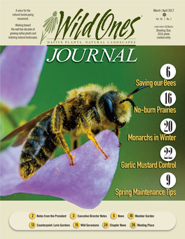 JOURNAL Saving Our Bees6