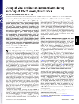 Dicing of Viral Replication Intermediates During Silencing of Latent Drosophila Viruses