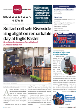 Snitzel Colt Sets Riverside Ring Alight on Remarkable Day at Inglis Easter | 2 | Wednesday, April 10, 2019