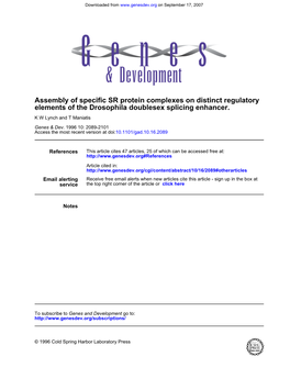 Elements of the Drosophila Doublesex Splicing Enhancer. Assembly Of