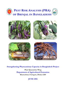 Pest Risk Analysis (PRA) of Brinjal in Bangladesh