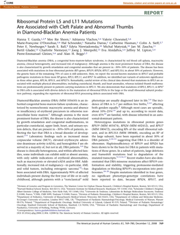 Ribosomal Protein L5 and L11 Mutations Are Associated with Cleft Palate and Abnormal Thumbs in Diamond-Blackfan Anemia Patients