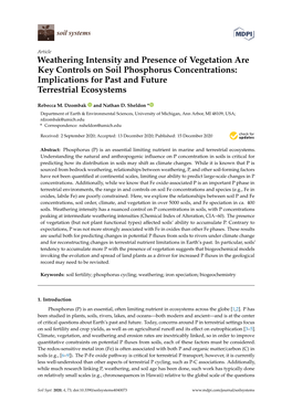 Weathering Intensity and Presence of Vegetation Are Key Controls on Soil Phosphorus Concentrations: Implications for Past and Future Terrestrial Ecosystems