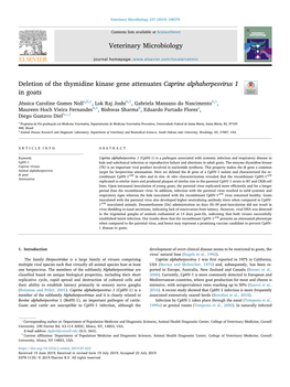 Deletion of the Thymidine Kinase Gene Attenuates Caprine Alphaherpesvirus 1 in Goats T