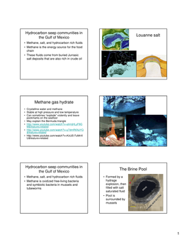 Louanne Salt Methane Gas Hydrate the Brine Pool