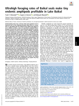 Ultrahigh Foraging Rates of Baikal Seals Make Tiny Endemic Amphipods Profitable in Lake Baikal