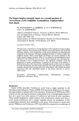 The Largest Lungless Tetrapod: Report on a Second Specimen of Atretochoana Eiselti (Amphibia: Gymnophiona: Typhlonectidae) from Brazil