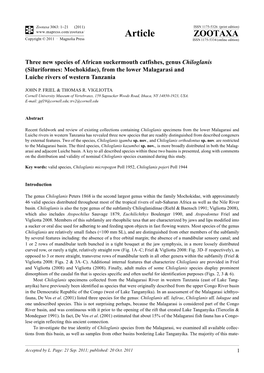 Three New Species of African Suckermouth Catfishes, Genus Chiloglanis (Siluriformes: Mochokidae), from the Lower Malagarasi and Luiche Rivers of Western Tanzania