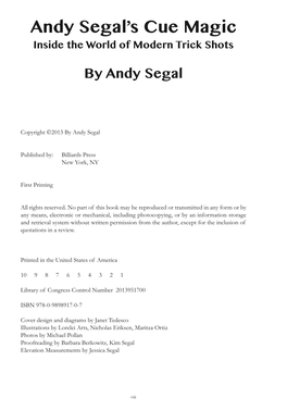 Andy Segal's Cue Magic