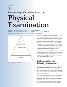 06 Physical Examination.Qxd