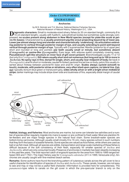 Order CLUPEIFORMES ENGRAULIDAE Anchovies by M.S