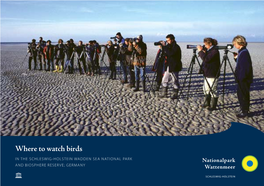 Where to Watch Birds in the SCHLESWIG-HOLSTEIN WADDEN SEA NATIONAL PARK and BIOSPHERE RESERVE; GERMANY a Paradise for Birds and Birdwatchers 1,2 Mio