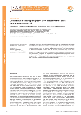 Quantitative Macroscopic Digestive Tract Anatomy of the Beira