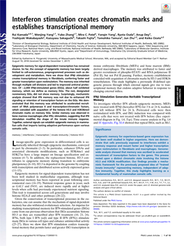 Interferon Stimulation Creates Chromatin Marks and Establishes Transcriptional Memory