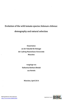 Evolution of the Wild Tomato Species Solarium Chilense: Demography