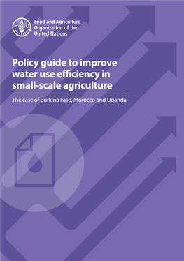 Policy Guide to Improve Water Use Efficiency in Small-Scale Agriculture