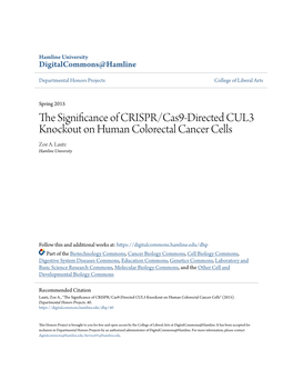 The Significance of CRISPR/Cas9-Directed CUL3 Knockout on Human Colorectal Cancer Cells