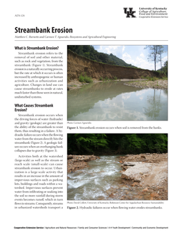 Streambank Erosion Matthew C