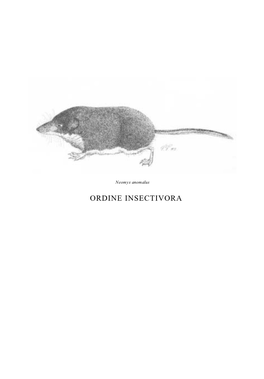 ORDINE INSECTIVORA Famiglia Erinaceidae Erinaceus Europaeus Linnaeus, 1758 Riccio Europeo Occidentale