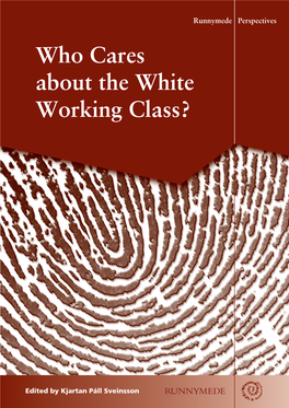 Who Cares About the White Working Class?