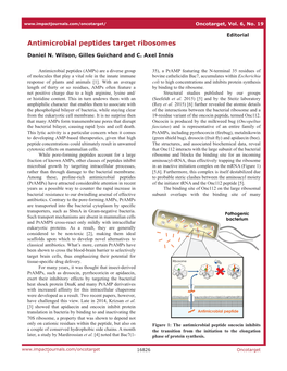 Antimicrobial Peptides Target Ribosomes