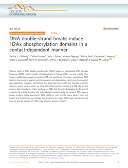 DNA Double-Strand Breaks Induce H2ax Phosphorylation Domains in a Contact-Dependent Manner