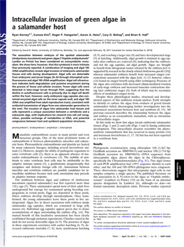 Intracellular Invasion of Green Algae in a Salamander Host