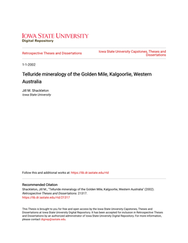 Telluride Mineralogy of the Golden Mile, Kalgoorlie, Western Australia