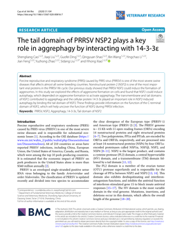 The Tail Domain of PRRSV NSP2 Plays a Key Role in Aggrephagy By