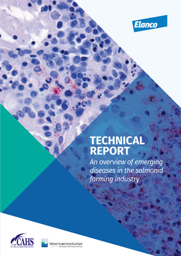 TECHNICAL REPORT an Overview of Emerging Diseases in the Salmonid Farming Industry Disclaimer: This Report Is Provided for Information Purposes Only