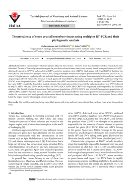 The Prevalence of Seven Crucial Honeybee Viruses Using Multiplex RT-PCR and Their Phylogenetic Analysis