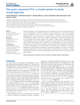 The Green Seaweed Ulva: a Model System to Study Morphogenesis Thomas Wichard 1*, Bénédicte Charrier 2,3, Frédéric Mineur 4, John H