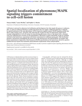 Spatial Focalization of Pheromone/MAPK Signaling Triggers Commitment to Cell–Cell Fusion