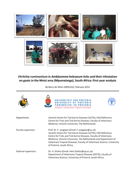 Ehrlichia Ruminantium in Amblyomma Hebraeum Ticks and Their Infestation on Goats in the Mnisi Area (Mpumalanga), South Africa: First Year Analysis