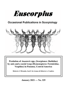 Predation of Ananteris Spp. (Scorpiones: Buthidae) by Ants and a Social Wasp (Hymenoptera: Formicidae, Vespidae) in Panama, Central America