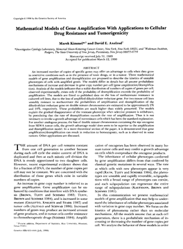 Mathematical Models of Gene Amplification with Applications To