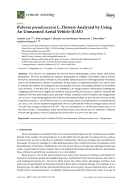 Robinia Pseudoacacia L. Flowers Analyzed by Using an Unmanned Aerial Vehicle (UAV)