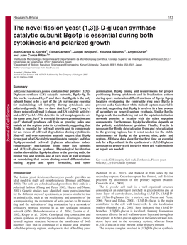 The Novel Fission Yeast (1,3)Β-D-Glucan Synthase Catalytic